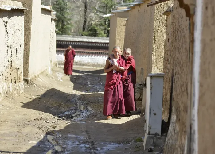 Framed Print : Two novice monks in red monk's robes