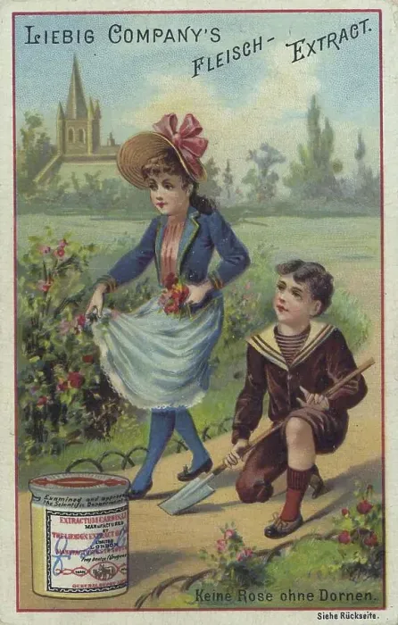Framed Print : Nursery rhyme series, No rose without thorns
