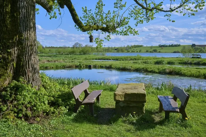 Framed Print : Ober- Moosersee surrounded by green fields and trees and a stone table with benches under a partly cloudy blue sky