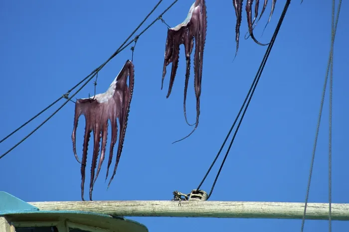 Framed Print : Octopuses hung out to dry, Greece