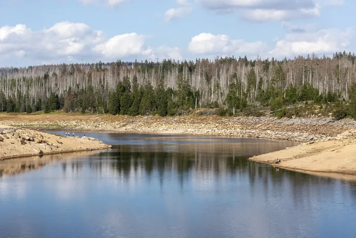 Framed Print : Oderteich dam, dead trees, Harz National Park