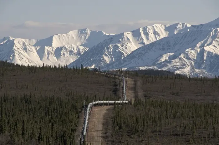 Framed Print : Oil pipeline crossing taiga habitat