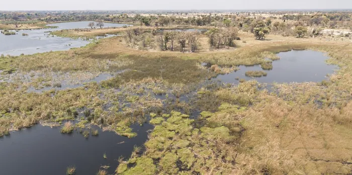 Framed Print : Okavango Delta Botswana aerial view shot from a helicopter Framed Print : Okavango Delta Botswana aerial view shot from a helicopter