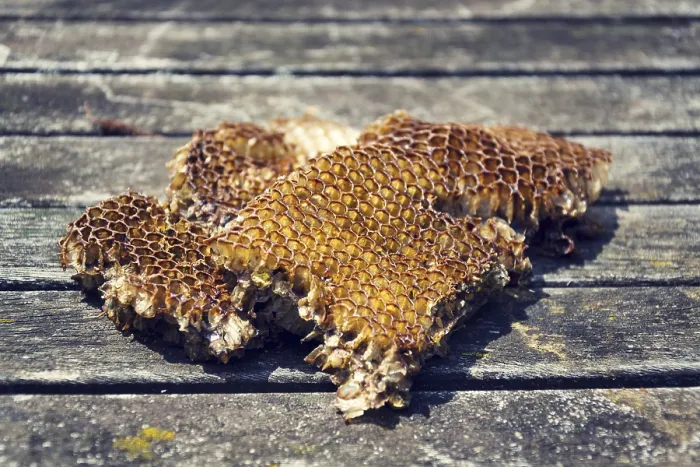 Framed Print : Old bees honeycomb on wooden table on a sunny day Prague