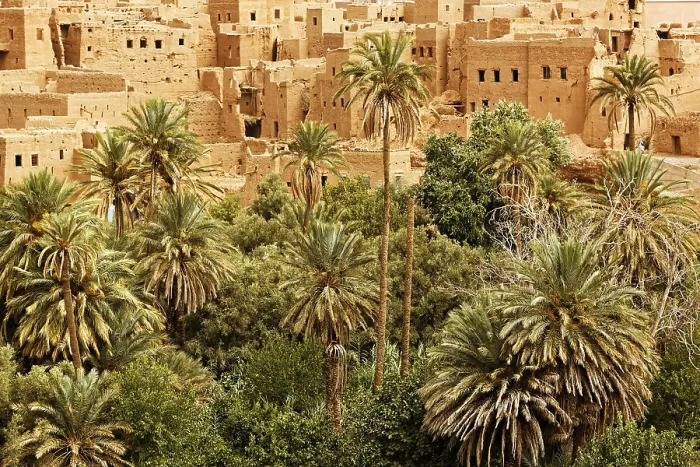 Framed Print : Old city surrounded by the palm and date trees in Ouarzazate