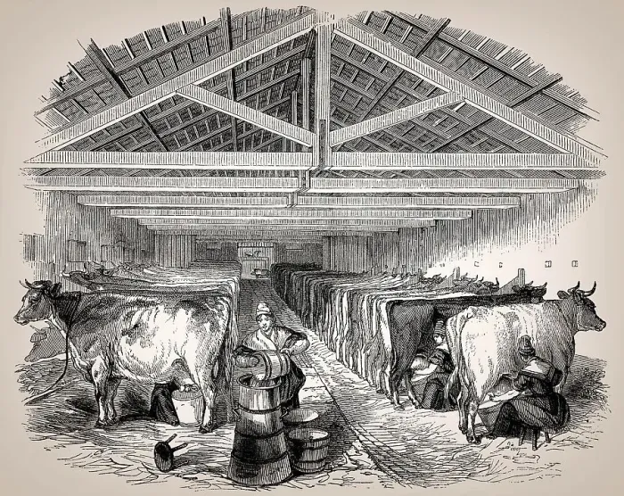 Framed Print : Old English cowshed, 19th century