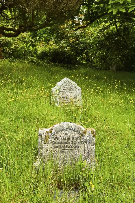Framed Print : Old gravestones amidst a dense green lawn in a tranquil setting Framed Print : Old gravestones amidst a dense green lawn in a tranquil setting