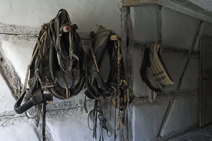 Framed Print : Old horse halter in the horse and cow stable