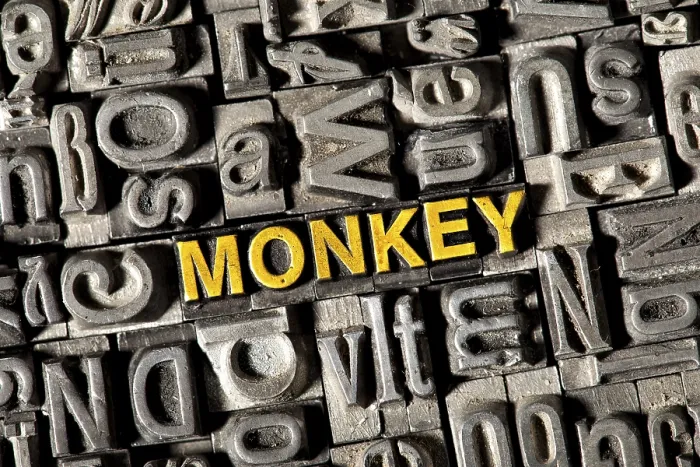 Framed Print : Old lead letters forming the word 'MONKEY' Old lead letters forming the word 'MONKEY'
