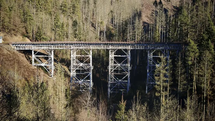 Framed Print : Old metal railway bridge surrounded by a thick forest in sunlight
