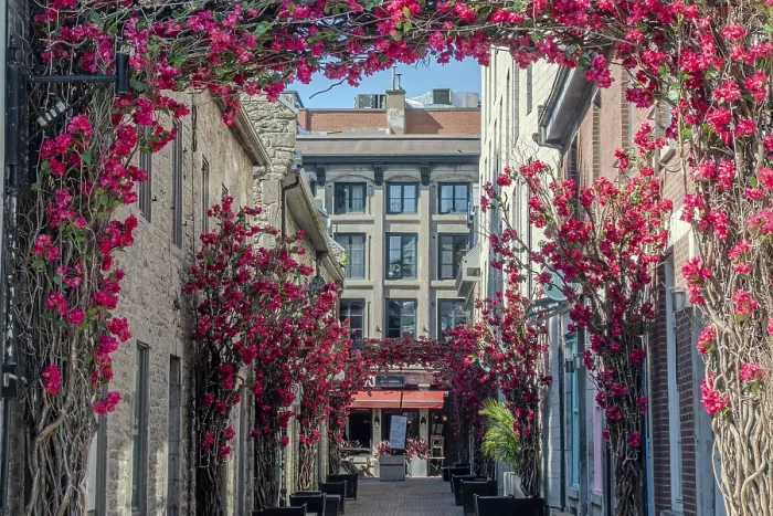 Framed Print : Old Montreal street view with historical buildings Framed Print : Old Montreal street view with historical buildings
