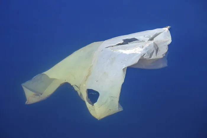 Framed Print : Old plastic bag floating in a body of water