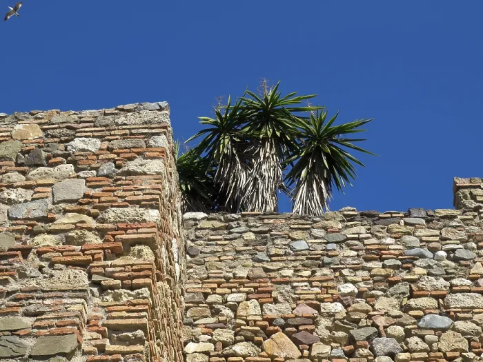 Framed Print : Very old stone wall with palm trees on top Framed Print : Very old stone wall with palm trees on top