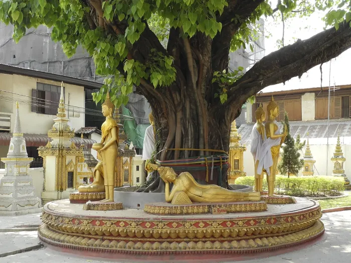 Framed Print : Old tree with Buddha statue, Wat Hai Sok temple