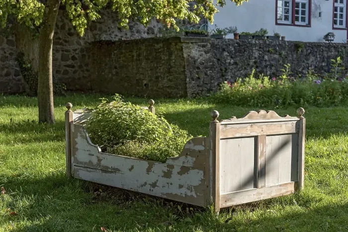 Framed Print : Old wooden bed as raised bed, herb garden