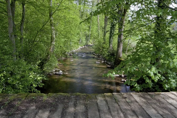 Framed Print : Old wooden bridge over a creek in a beautiful spring forest