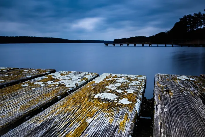 Framed Print : Old wooden planks of a footbridge overgrown with moss at Rudower See