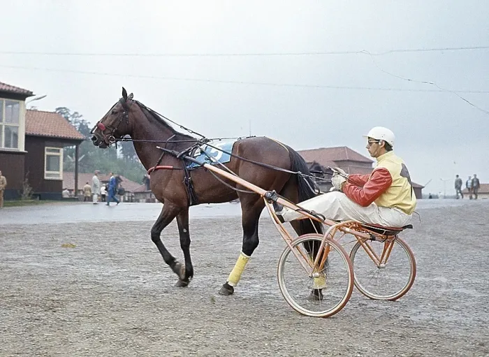 Framed Print : Olle Elfstrand. Swedish trotting trainer and jockey. During his career he has managed the feat of winning over 2000 races as a jockey. Here in the sulky with the trotting horse Lyon that he trained for most of his racing career Framed Print : Olle Elfstrand. Swedish trotting trainer and jockey. During his career he has managed the feat of winning over 2000 races as a jockey. Here in the sulky with the trotting horse Lyon that he trained for most of his racing career