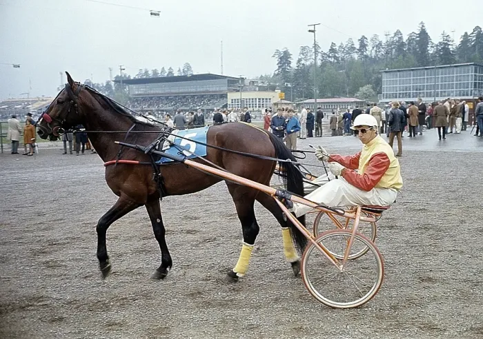 Framed Print : Olle Elfstrand. Swedish trotting trainer and jockey. During his career he has managed the feat of winning over 2000 races as a jockey. Here in the sulky with the trotting horse Lyon that he trained for most of his racing career