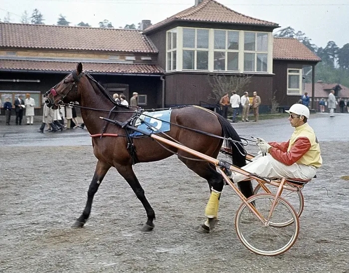 Framed Print : Olle Elfstrand. Swedish trotting trainer and jockey