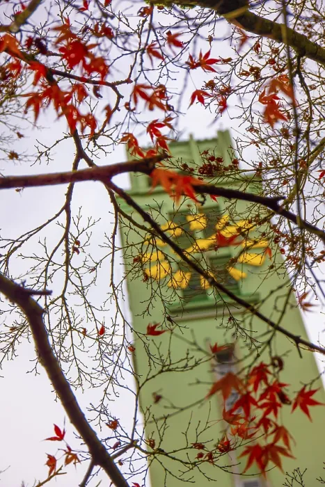 Framed Print : Olten Friedenskirche Church with Clock Tower and Tree Branch with Leaf in an Autumn Day in Olten
