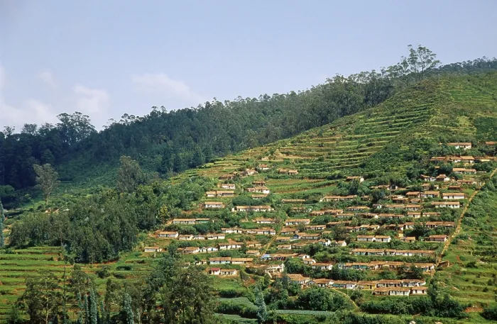 Framed Print : Ooty, tamil nadu, india Framed Print : Ooty, tamil nadu, india