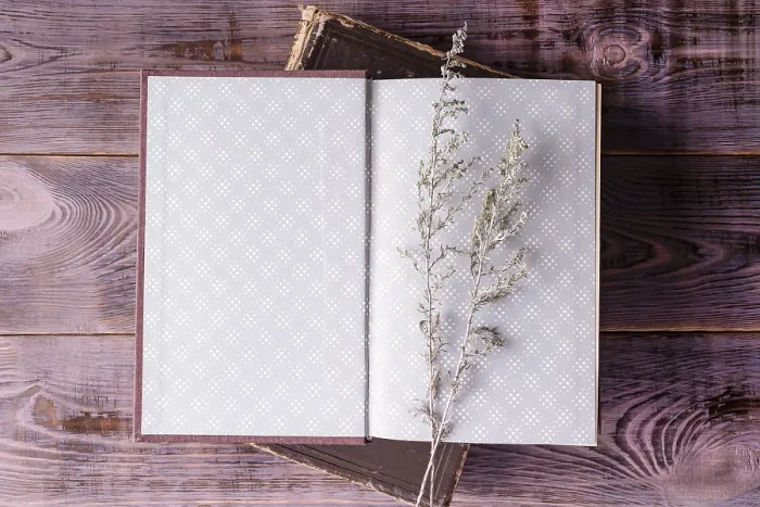Framed Print : Open book wormwood branch on wooden background