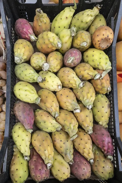 Framed Print : Opuntia fruits at the market in Palermo Framed Print : Opuntia fruits at the market in Palermo