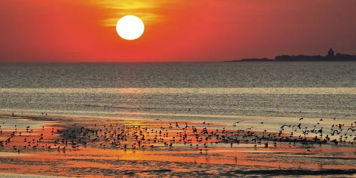 Framed Print : Orange-red sunset over the North Sea