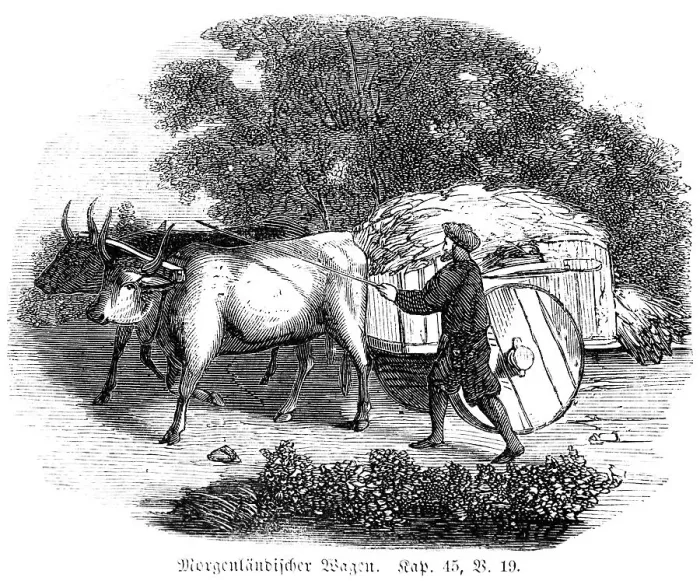 Framed Print : Oriental wagon, cart, cattle, draught animals Framed Print : Oriental wagon, cart, cattle, draught animals