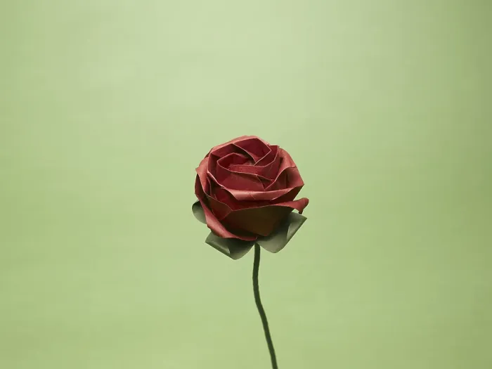 Framed Print : Origami rose India Asia