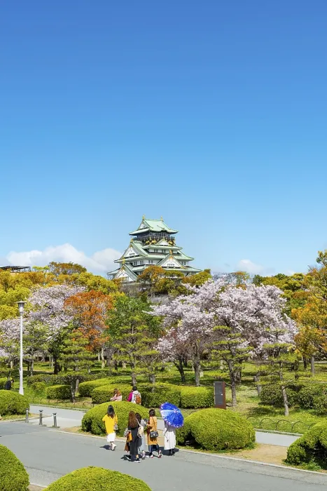 Framed Print : Osaka castle with blooming cherry trees in the park