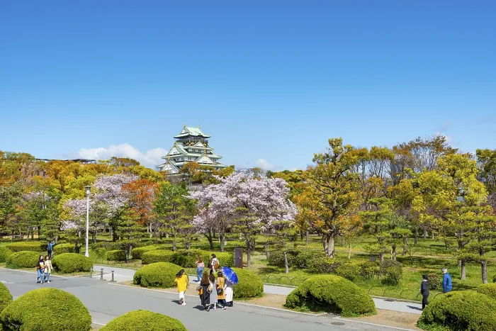 Framed Print : Osaka castle with blooming cherry trees in the park