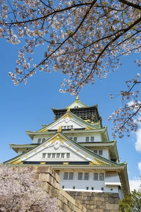 Framed Print : Osaka castle with blooming cherry trees in the park