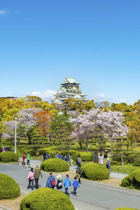 Framed Print : Osaka castle with blooming cherry trees in the park Framed Print : Osaka castle with blooming cherry trees in the park