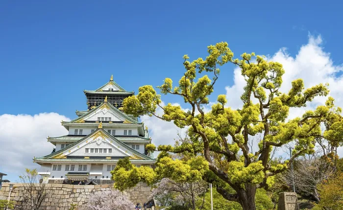 Framed Print : Osaka castle among trees in the park Framed Print : Osaka castle among trees in the park