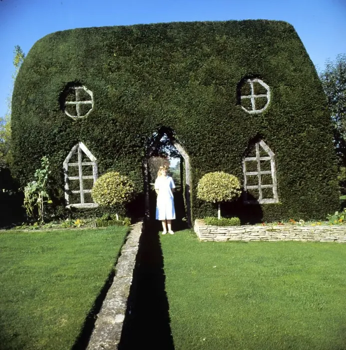 Framed Print : Overgrown building, England, Great Britain Framed Print : Overgrown building, England, Great Britain