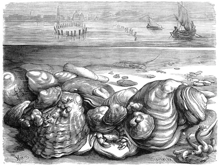 Framed Print : Oyster Bank and Oyster Fishery in the Mediterranean