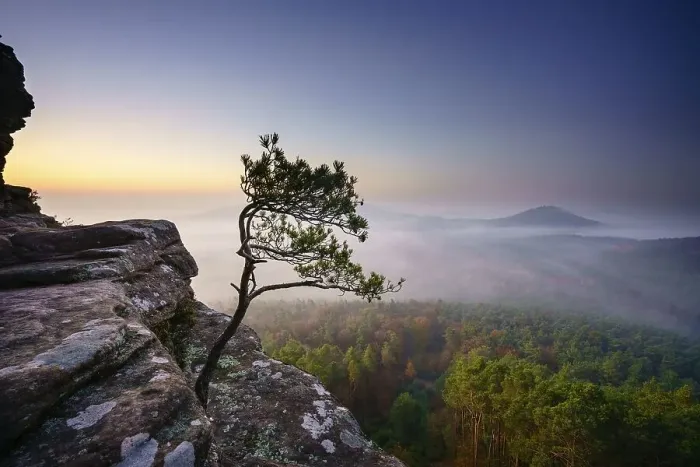 Framed Print : Palatinate Forest, dawn, fog, Roetzenfels Framed Print : Palatinate Forest, dawn, fog, Roetzenfels