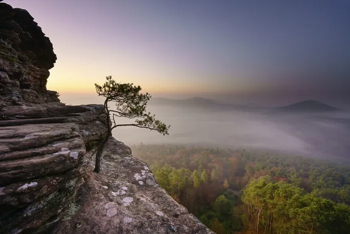Framed Print : Palatinate Forest, dawn, fog, Roetzenfels Framed Print : Palatinate Forest, dawn, fog, Roetzenfels