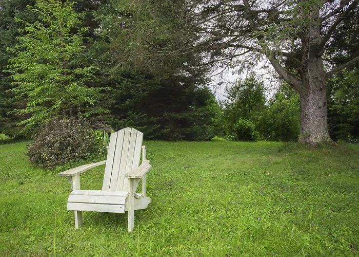 Framed Print : Pale green adirondack chair in pine forest Framed Print : Pale green adirondack chair in pine forest