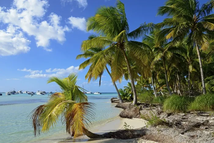 Framed Print : Palm Beach, Parque Nacional del Este