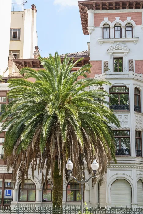 Framed Print : Palm tree in front of an ornate historic building under a blue sky