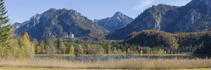 Framed Print : Panorama of the autumn reed bank on Schwansee