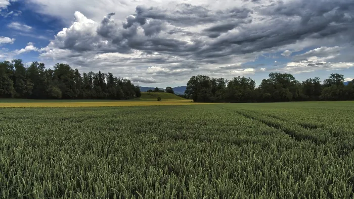 Framed Print : Panorama, cornfield, forest, hill and cloudy sky