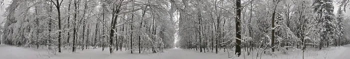 Framed Print : Panorama, dense forest completely covered with snow in winter