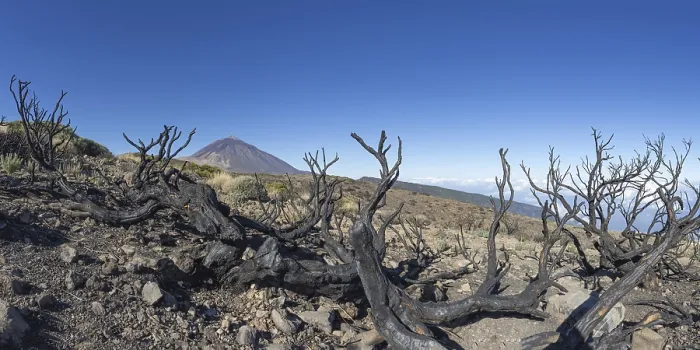 Framed Print : Panorama from the east over the Teide National Park