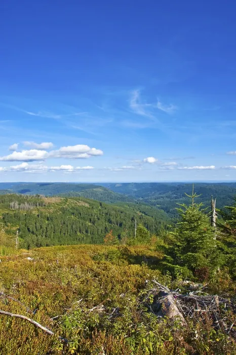 Framed Print : Panorama Hornisgrinde mountain