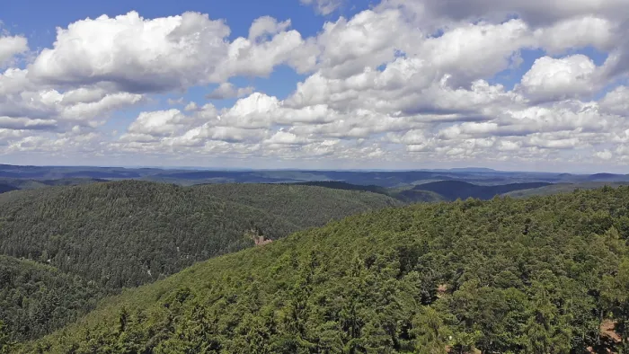 Framed Print : Panorama of the Palatinate Forest Framed Print : Panorama of the Palatinate Forest