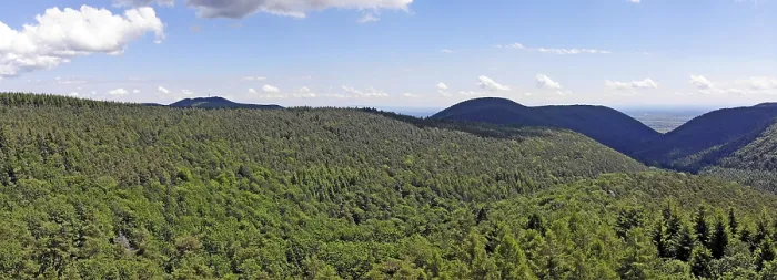 Framed Print : Panorama of the Palatinate Forest Framed Print : Panorama of the Palatinate Forest